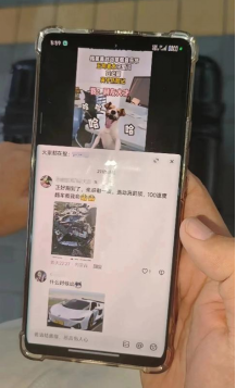 车辆撞到报废,司机安然无恙,长安逸动如何打造五星安全品质神车?